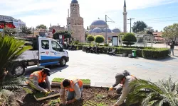 Antalya 4 milyon yazlık çiçekle bahara hazırlanıyor