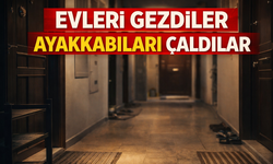 Evlere girip ayakkabı çaldılar