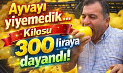 Ayva lüks oldu! Kilosu tam 300 lira...