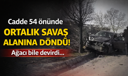 Cadde 54 Önünde Kaza: Kontrolden Çıkan Araç Ağacı Devirdi