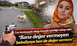 Hendek’te sokak köpeği korkusu: Kurusıkı tabanca yüzünden işsiz kaldı