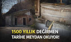Sakarya’da 1500 Yıllık Su Değirmeni Geleneği Yaşatılıyor