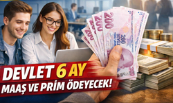Gençlere ilk iş desteği: Devlet 6 ay maaş ve prim ödeyecek