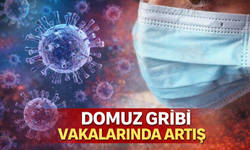 Uzman doktordan “domuz gribi” uyarısı: Dirençli ateşe dikkat