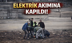 Sakarya’da Trafo Onarımı Sırasında Korkunç Kaza: İşçi Elektrik Akımına Kapıldı