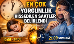 Gün İçinde En Çok Yorgunluk Hissedilen Saatler Belirlendi
