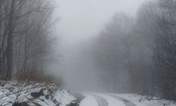 Erdek'in yüksek kesimlerinde kar etkili oldu