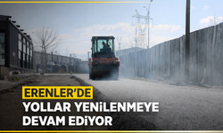 Erenler’de Yollar Yenilenmeye Devam Ediyor