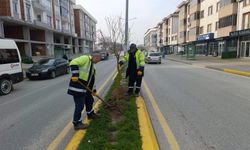 Hendek’te Parklar ve Yürüyüş Yolları Yenileniyor: Yeşil Alanlar Fidanlarla Güçleniyor