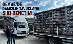 Geyve’de Damızlık Tavuklara Sıkı Denetim