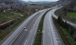 Göç yolundaki leylekler Bilecik'te mola verdi