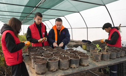 Düzce Tarım Akademisi’nde öğrencilere uygulamalı tarım eğitimi
