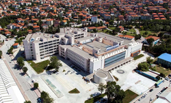 LABORATUVAR HİZMETİ ALINACAK