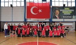 Güreşçiler Sakarya’da mindere çıktı