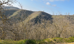 Mazottaki Artış Desteklere Yansımadı