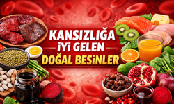Kansızlığa İyi Gelen Doğal Besinler Nelerdir?