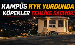 Kampüs KYK Yurdunda Köpekler Tehlike Saçıyor