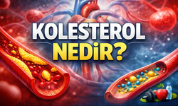 Kolestrol Nedir Ve Kolestrol Türleri Nelerdir?