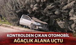 İnegöl’de Kontrolden Çıkan Otomobil Ağaçlık Alana Uçtu: Sürücü Yaralandı