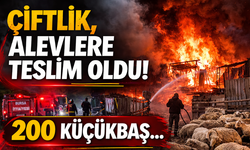 Çiftlik, alevlere teslim oldu!