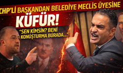 CHP'li başkandan belediye meclis üyesine küfür!