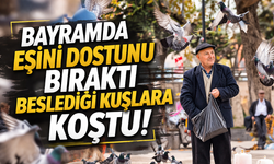 Bayramda Herkes Sevdiklerine Koştu, O Güvercinleri Unutmadı