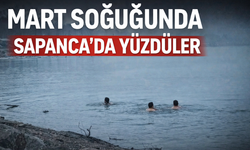 Mart Soğuğuna Aldırmadılar: Sapanca Gölü’nde Yüzdüler
