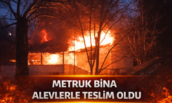 Metruk bina alevlere teslim oldu
