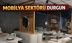 Mobilya sektörü durgun!