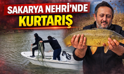 Sakarya Nehri’nde Kaçak Avcılık Operasyonu