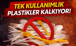 Tek Kullanımlık Plastik Ürünlere Yasak Geliyor