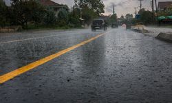 Sapanca Gölü’nde sevindiren gelişme