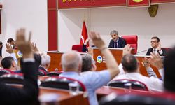 Sapanca Park ve Tarihi Uzunçarşı projelerinin devamı mecliste oylanacak