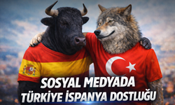 Sosyal Medyadaki İspanya-Türkiye Konusu Ne?