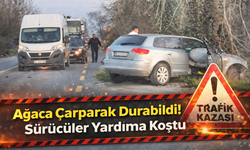 Ağaca çarparak durabildi!
