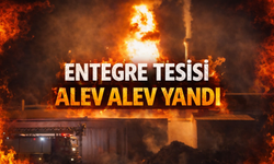 Akyazı’da Entegre Tesiste Korkutan Yangın