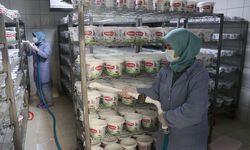 Tekirdağlı kadınlar her gün 7 ton sütü lezzete dönüştürüyor