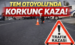 TEM Otoyolu’nda Korkunç Kaza