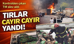 Sakarya’da D-650 Karayolunda Korkutan Kaza