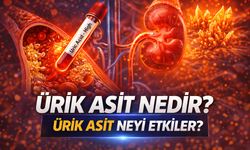 Ürik Asit Nedir, Ürik Asit Neyi Etkiler?