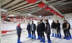 Ferizli’de kanatlı hayvan sektörüne yerinde inceleme