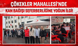 Çökekler Mahallesi’nde Kan Bağışı Seferberliğine Yoğun İlgi