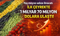 Yaş meyve sebze ihracatı ilk çeyrekte 1 milyar 70 milyon dolara ulaştı