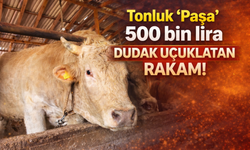 Tonluk 'Paşa' 500 bin lira