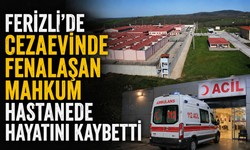 Ferizli'de cezaevinde fenalaşan mahkum hastanede hayatını kaybetti