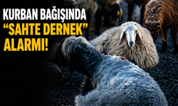 Kurban bağışında “sahte dernek” alarmı! Uzmanlardan kritik uyarılar
