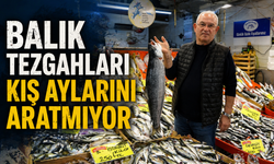 Balık tezgahları kış aylarını aratmıyor