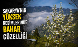 Yüksek kesimlerde bahar güzelliği