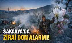 Sakarya’da Zirai Don Alarmı: Çiftçiye Kritik Uyarı