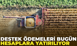 Çiftçi Destek Ödemeleri Bugün Hesaplara Yatıyor